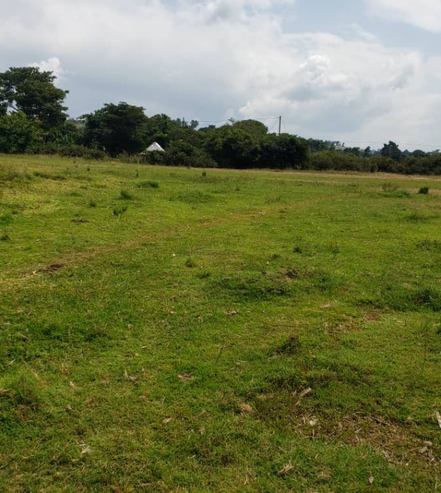 WhatsApp Image 2022-07-15 at 8.53.26 PM.jpeg